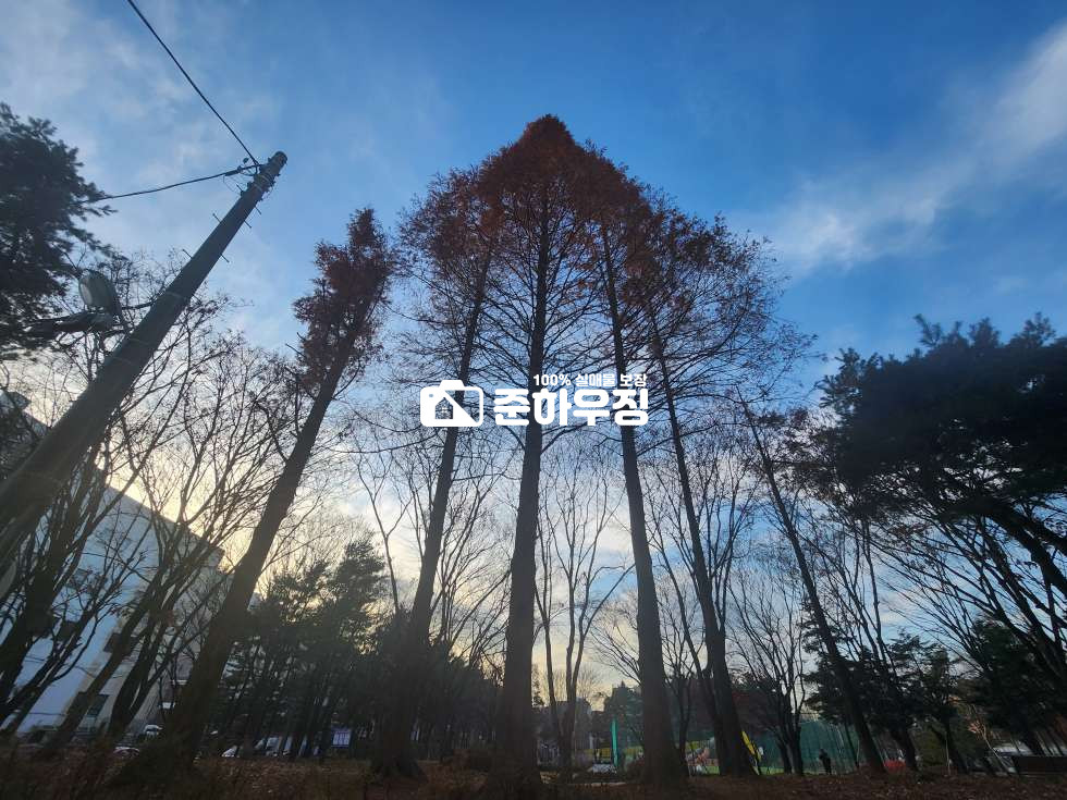 경기 부천원미구 심곡동 우리 집 바로 앞 공원 뷰~,복층 테라스 4룸 아파트 분양 매물번호 10744 사진 1